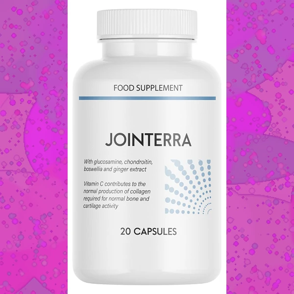 Jointerra