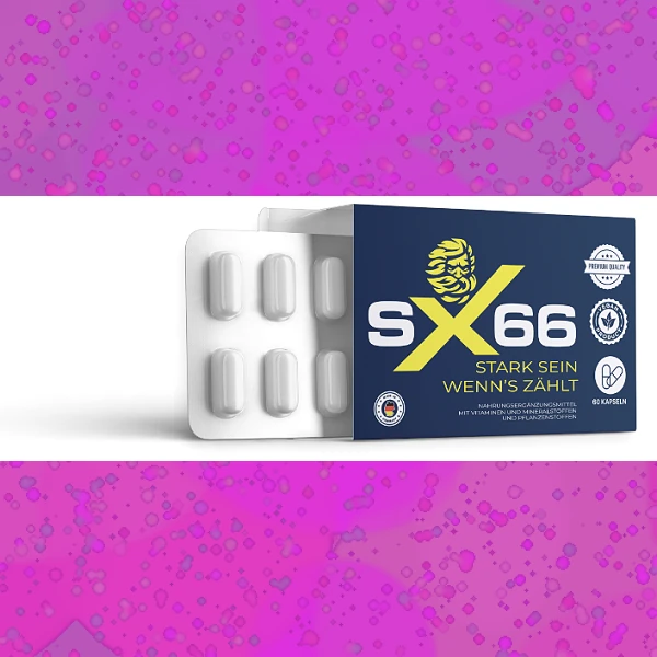 SX 66